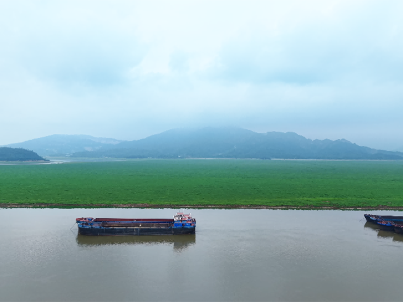 【经典案例】江西省庐山市城市污水尾水深度处理项目（入湖排口水质提升）